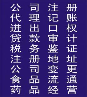 公司注冊與稅務咨詢服務全面解析 流程、選擇與價格指南